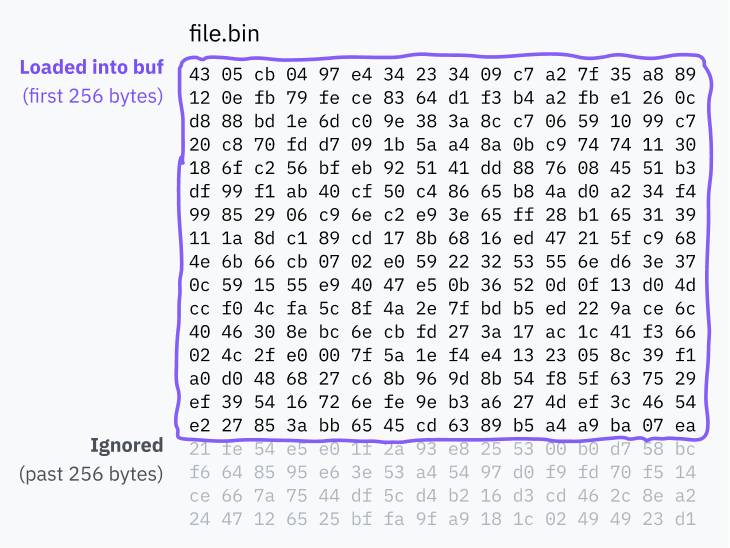 shebangの切り詰めを示す図。file.bin というファイルの大きなバイト列が描かれている。先頭256バイトが強調表示されて Loaded into buf と書かれ、それ以降のバイトは半透明で Ignored, past 256 bytes と書かれている。